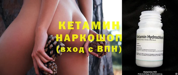 спиды Каменногорск